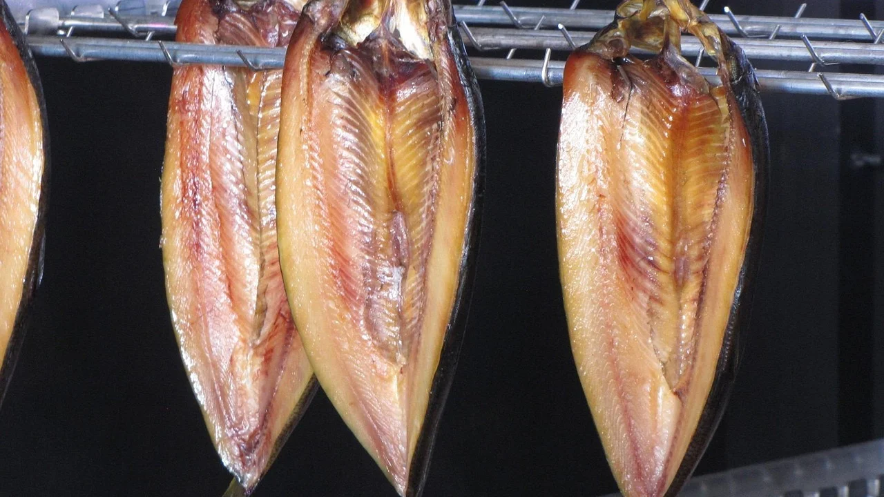 Carne moída achatada em saco próprio para congelamento.
