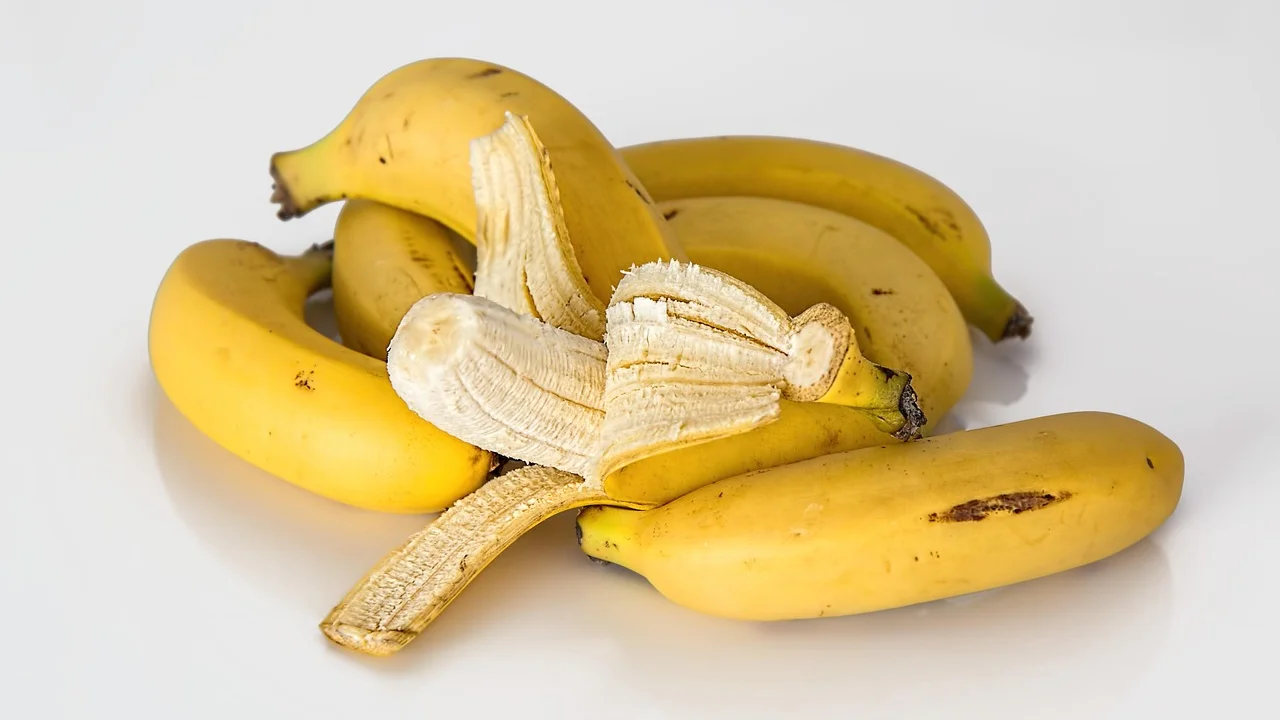 Cacho de bananas em diferentes estágios de maturação