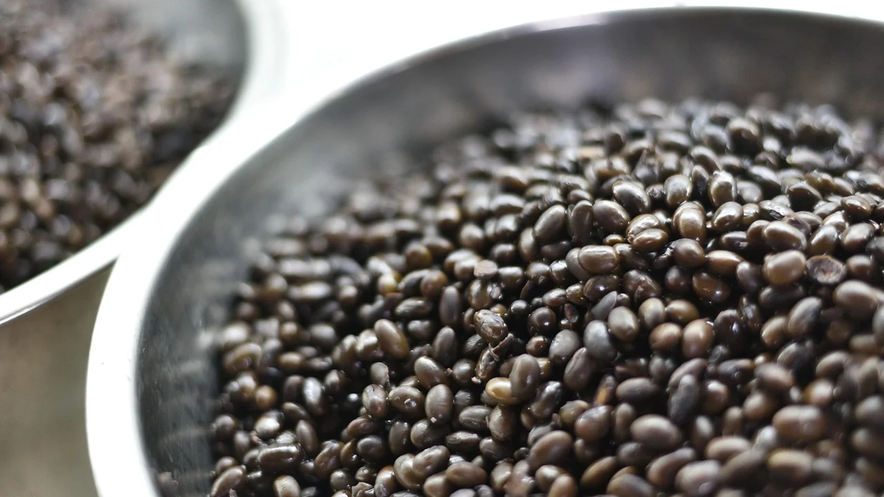 Soja cozinhando com água na panela de pressão