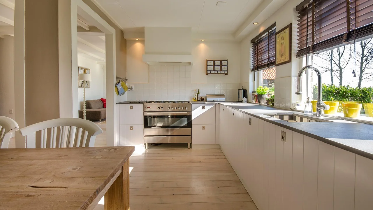 Desentupidor manual vedando o ralo da cuba.