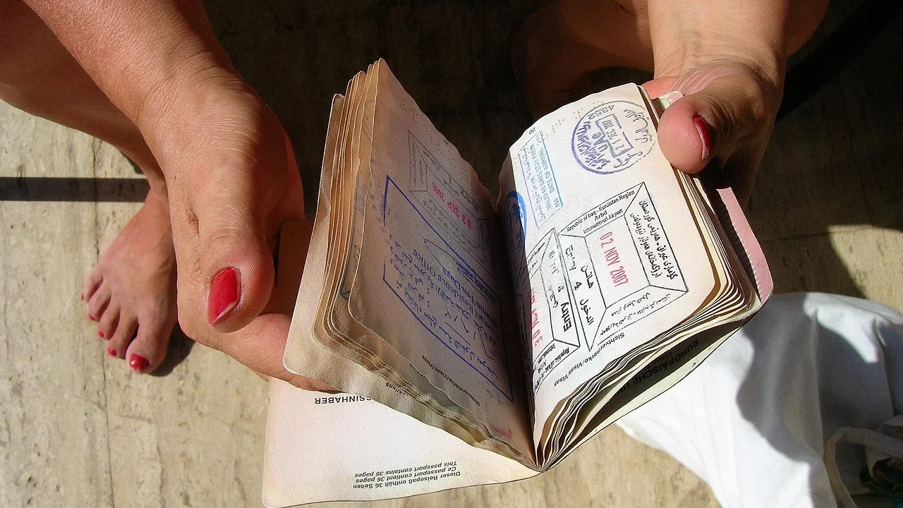 Certidões organizadas para envio e validação