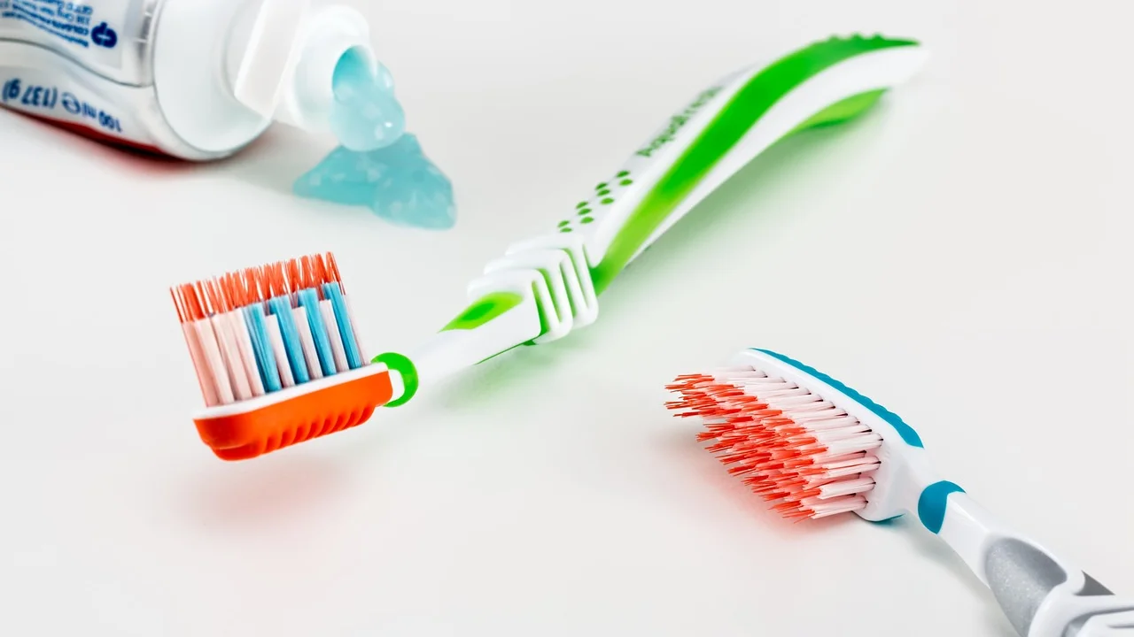 Detalhe da escovação na face externa dos dentes do cachorro.