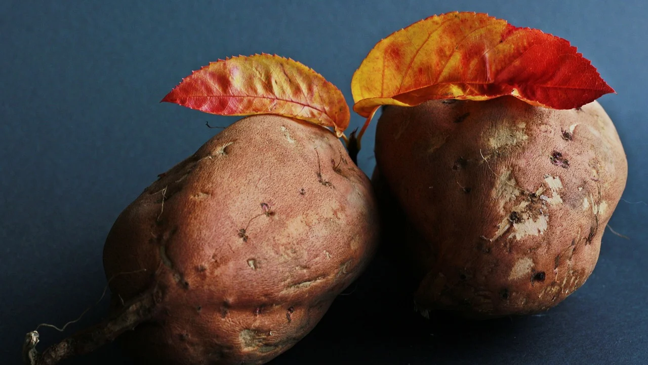 Porção de batata-doce crocante servida como acompanhamento.