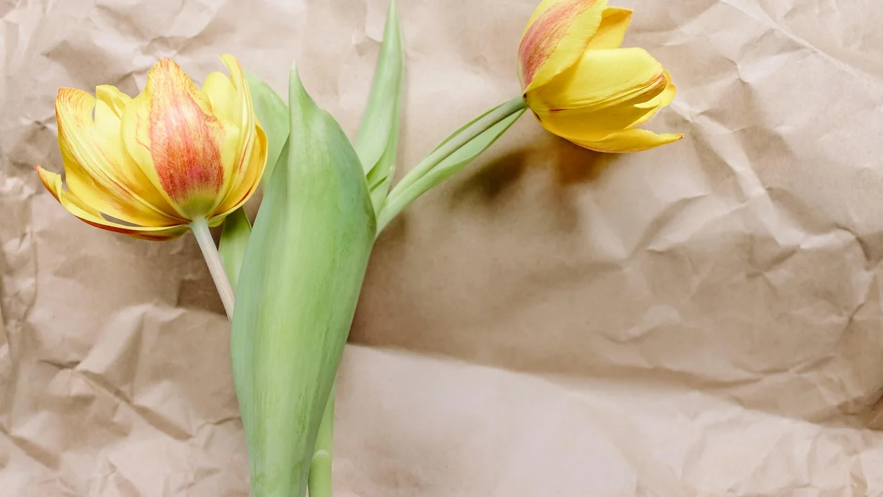Detalhes de flores de papel aplicadas em relevo.