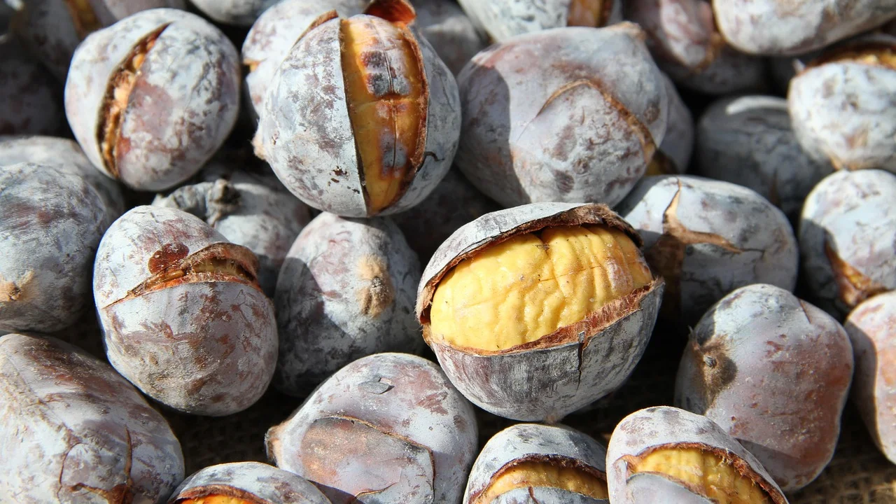 Castanhas-portuguesas frescas com casca brilhante sobre uma mesa.