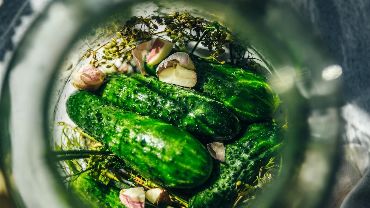 Rodelas de pepino em conserva acompanhando um sanduíche.
