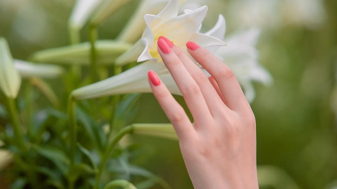 Aplicação de óleo nutritivo nas cutículas após a manicure
