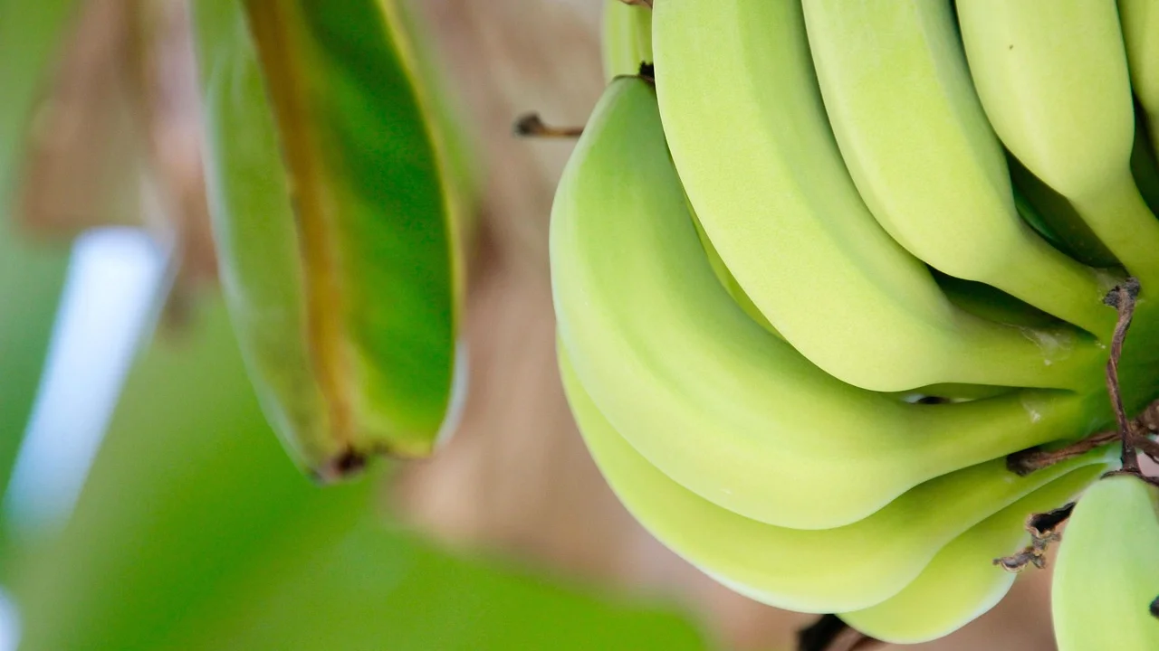 Farofa de banana como acompanhamento de refeição caseira