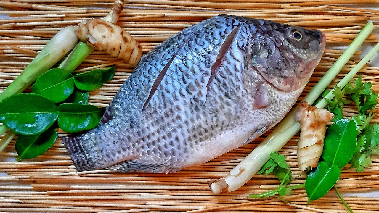 Peixe grelhado servido com legumes e arroz.