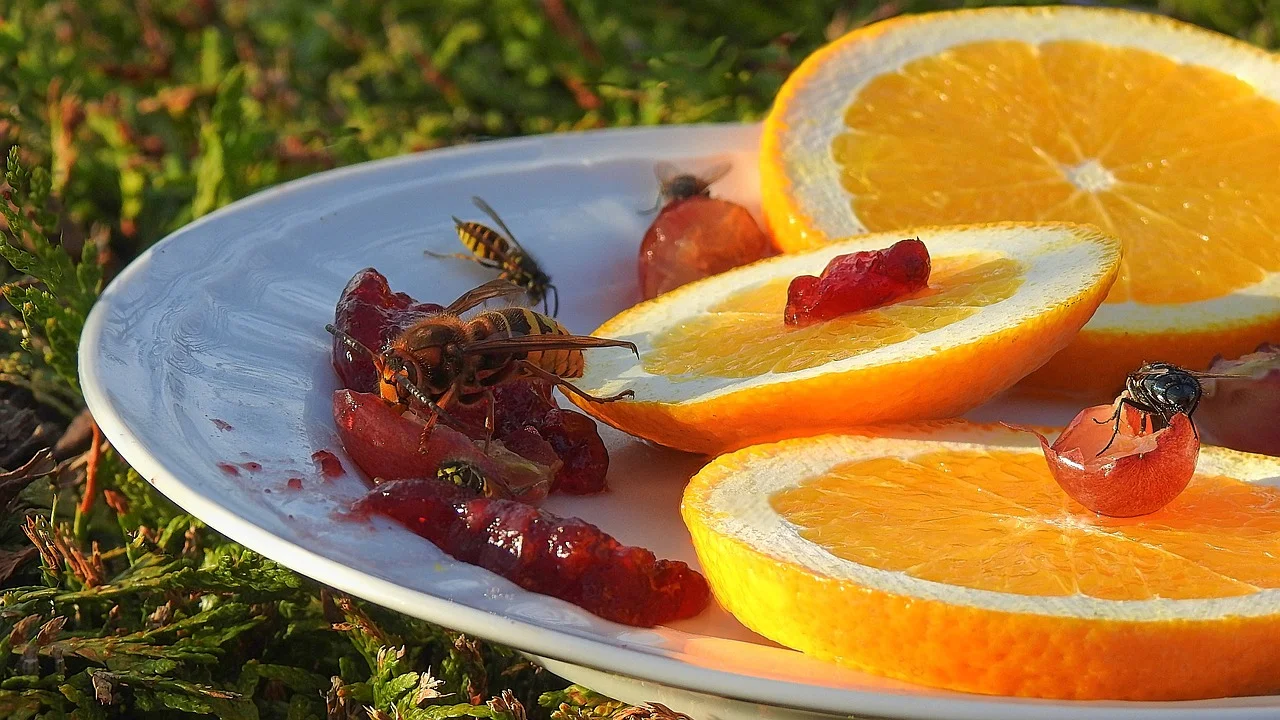 Torradas servidas com geleia de uva e frutas frescas.