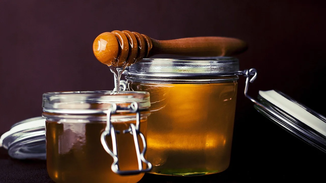 Chá adoçado resfriado antes de receber a cultura de kombucha