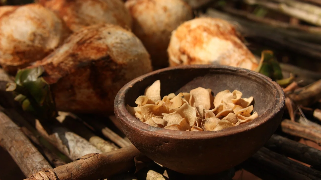 Bagaço de coco reservado para usar em bolos e farofas