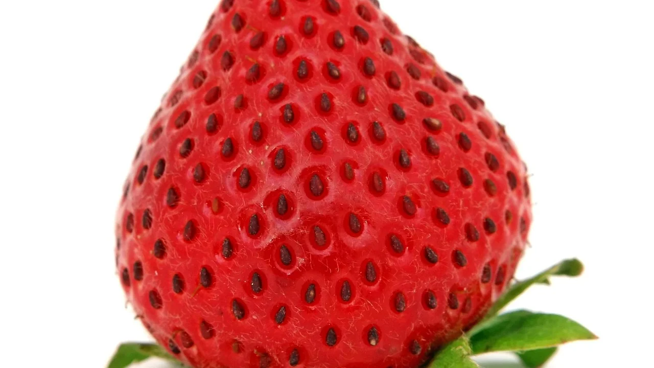 Liquidificador com mistura cremosa de morango e sorvete.