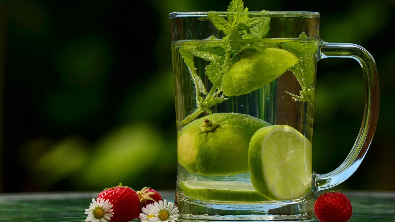 Mojito sem álcool servido com limão, hortelã e gelo.