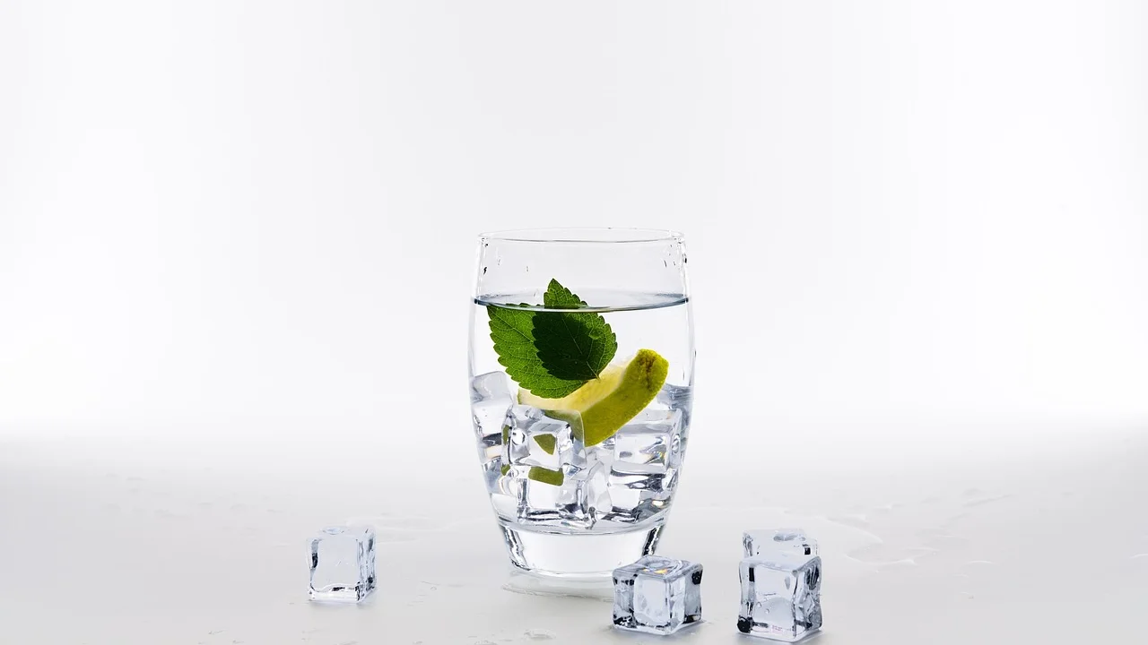 Água com gás gelada preserva a leveza do mocktail.