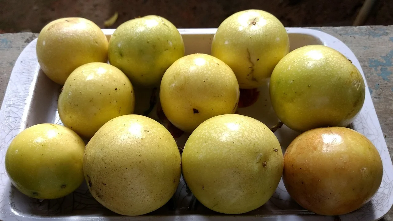 Ingredientes básicos separados para uma mousse caseira