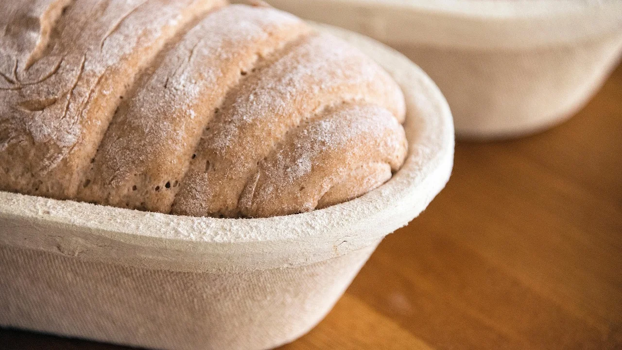 Massa de pão integral em fermentação dentro de uma tigela coberta.
