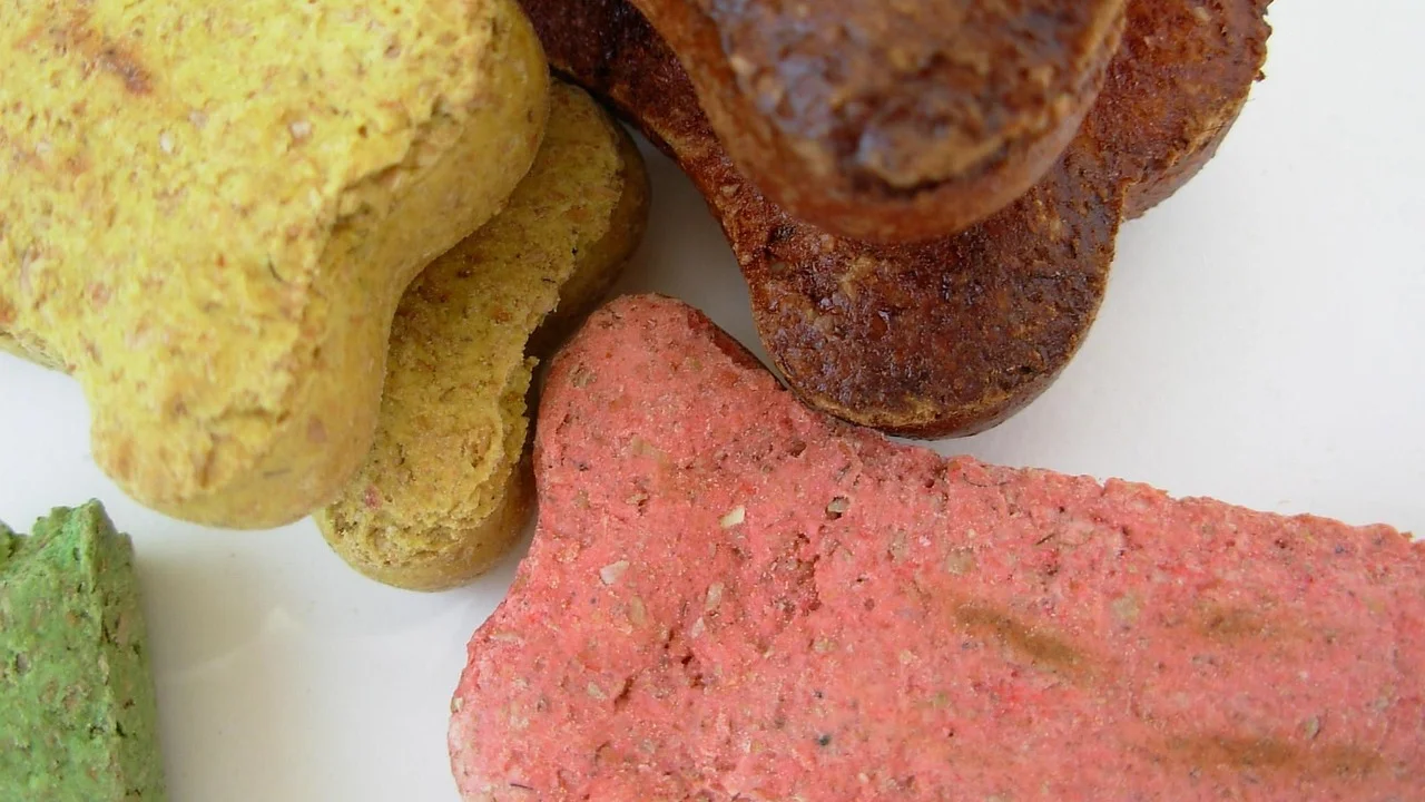 Ingredientes simples separados para preparar petiscos caninos