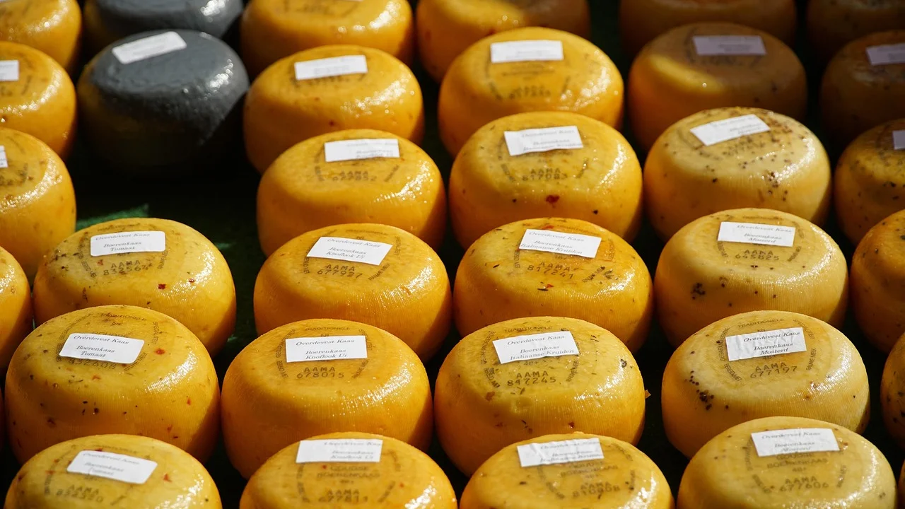 Queijo minas fresco recém-desenformado em forma perfurada