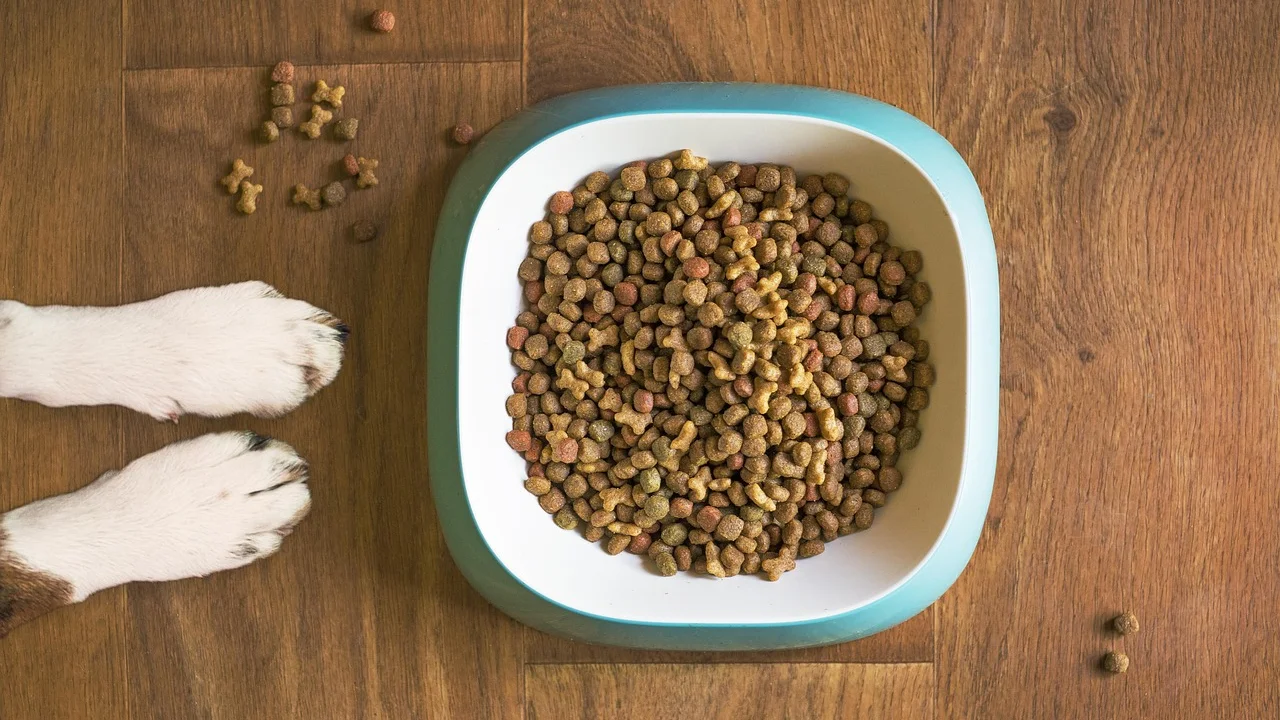 Ingredientes frescos separados para preparar comida natural canina.