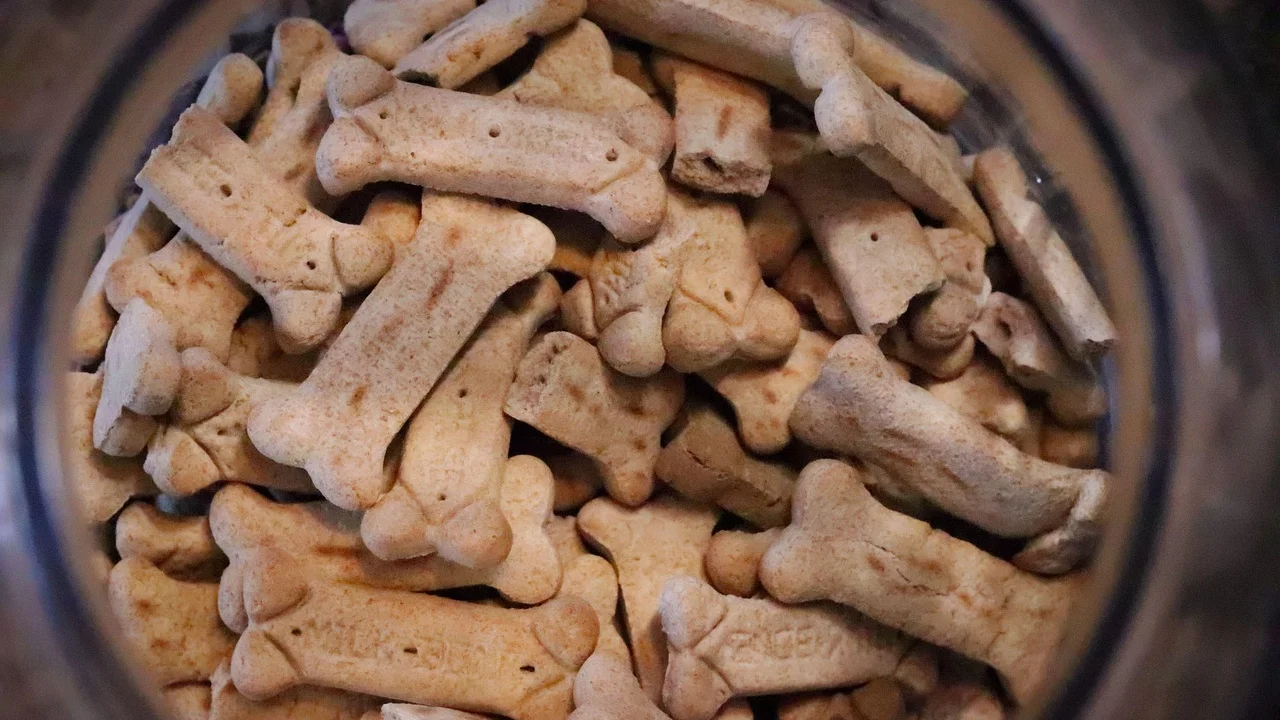 Porções de alimentação natural armazenadas em potes identificados.