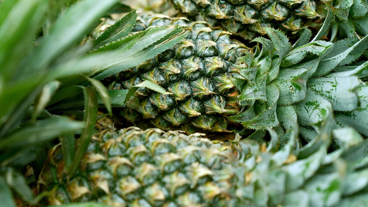 Suco de abacaxi com hortelã servido com gelo em copo transparente