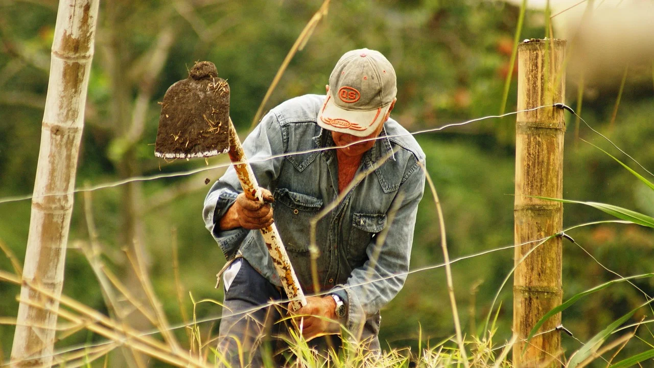 Cafeteira italiana desmontada e seca após a lavagem