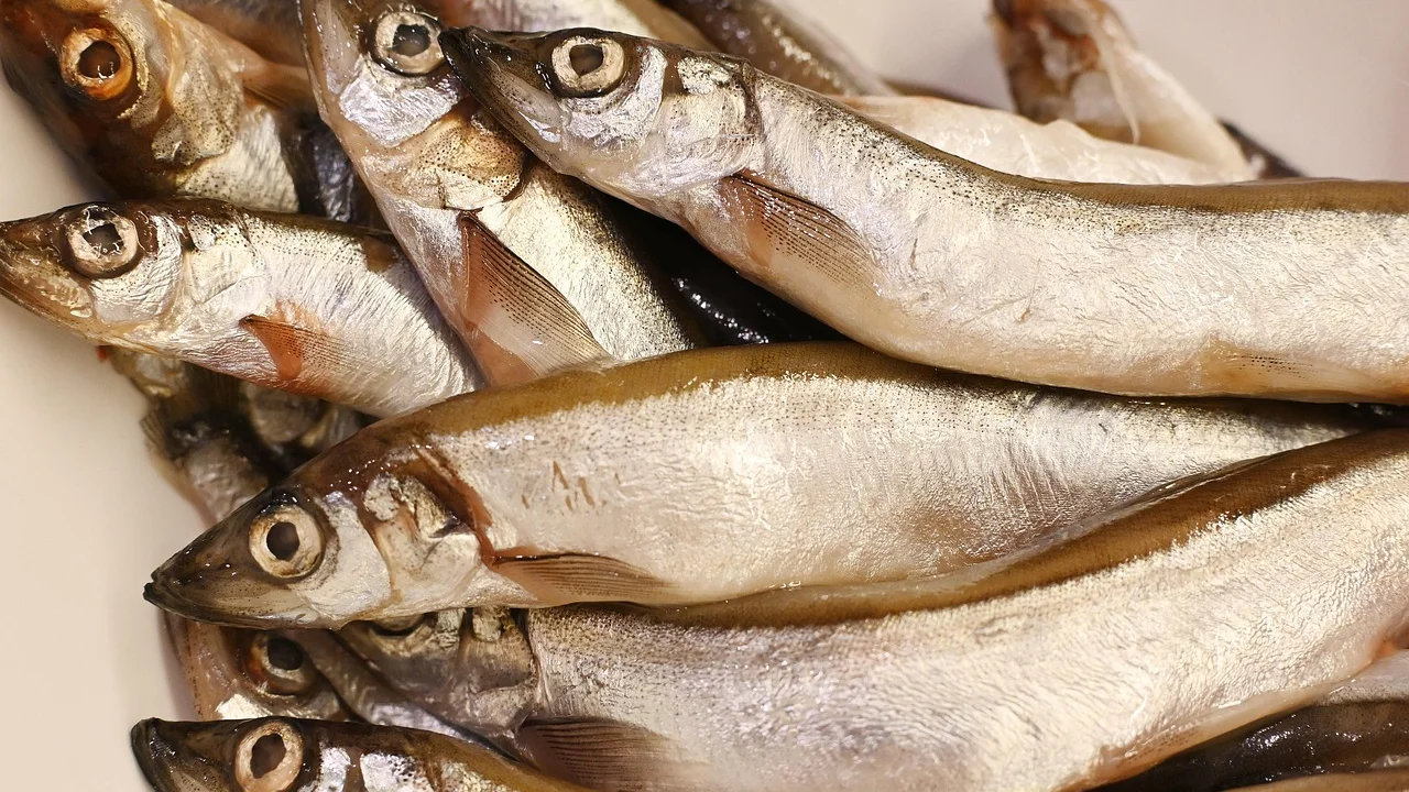 Peixe inteiro fresco sobre tábua limpa antes da preparação.