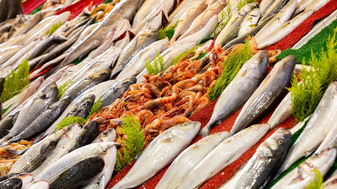 Filé de peixe seco e pronto para ir à frigideira.