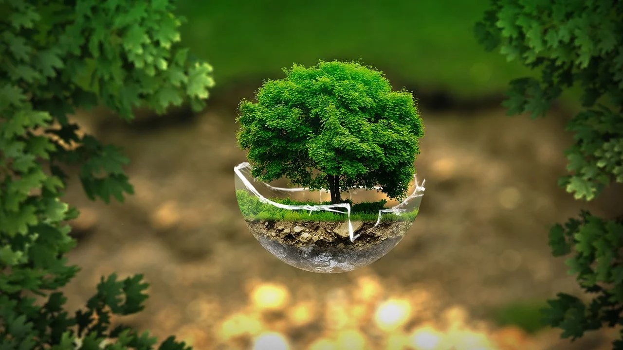 Terrário de vidro com folhagens pequenas em ambiente iluminado