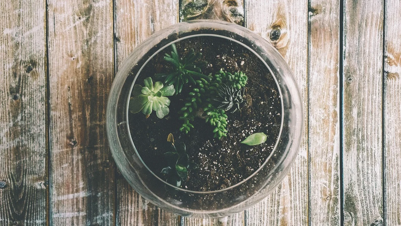 Montagem de um mini jardim com pinça e ferramentas delicadas