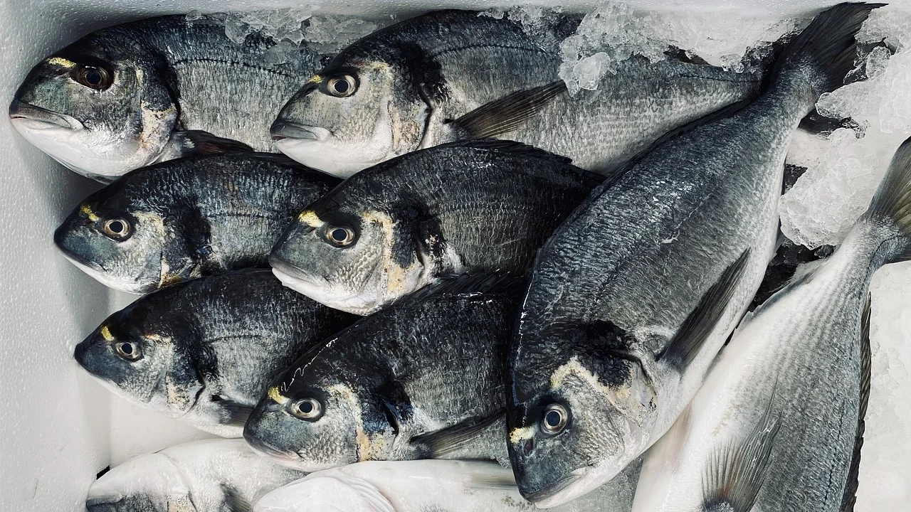 Cozinha ventilada após o preparo de peixe