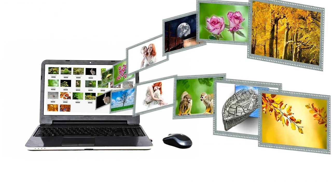 Comparação entre imagem original e foto com cenário removido