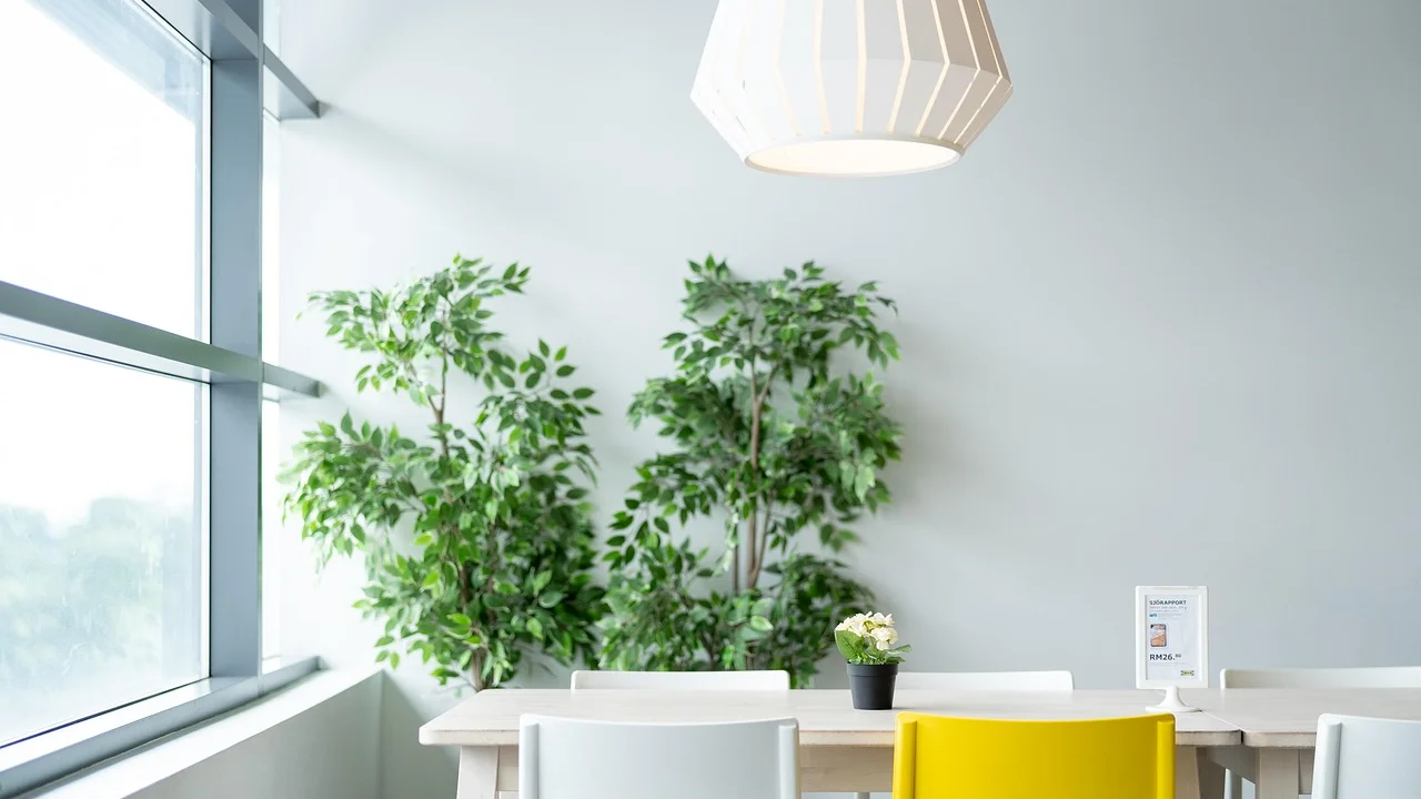 Plantas de folhagem em sala iluminada por luz indireta