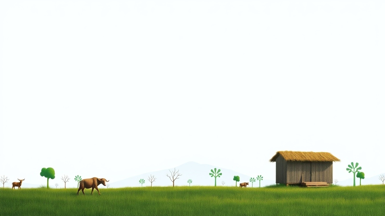 capa fundo vaquinha